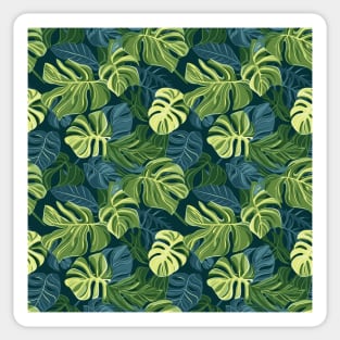 Tropical Minimalism: Monstera Leaf Elegance Sticker